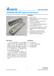 Delta Electronics 10GBASE-SR User's Manual