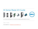 Dell PowerEdge M1000E BladeIO Guide