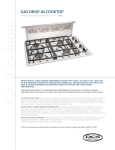 DCS CT-304 User's Manual