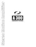 Crowson Technology A300 User's Manual