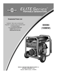 Briggs & Stratton 30384 User's Manual