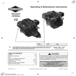 Briggs & Stratton 21000 User's Manual