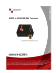 Avenview HDMI 3G/HD/SD-SDI User's Manual