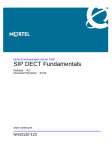 Avaya SIP DECT Fundamentals User's Manual