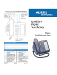 Avaya EnglishM3901 Quick Reference Guide