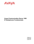 Avaya Communication Server 1000 User's Manual