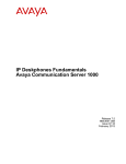 Avaya Communication Server 1000 User's Manual