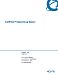 Avaya CallPilot Programming Record User's Manual