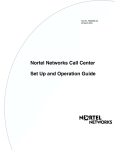 Avaya Call Center User's Manual