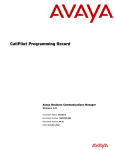 Avaya Business Communications Manager - CallPilot Programming Record User's Manual