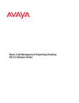 Avaya R2.4.1 Release Notes
