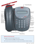 Avaya 4602/4602SW User's Manual