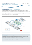 Allied Telesis x900 User's Manual