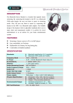 Abocom BSH202 User's Manual