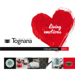 Tognana Porcellane V4458R4AGRM cooking pan