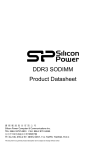 Silicon Power SP002GBSTU160V01 memory module