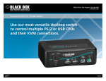 Black Box ServSwitch DT Pro II