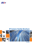 AVerMedia SF2111H-BR surveillance camera