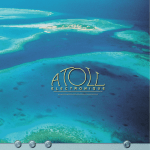 Atoll AM100SE audio amplifier