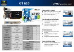 MSI V809-205R NVIDIA GeForce GT 610 2GB graphics card