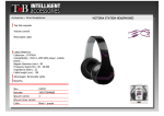 T'nB CSSTVI headphone