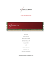 Exceleram 4GB DDR3-1333