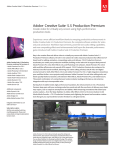 Adobe Creative Suite 5.5 Production Premium, Win