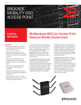 Brocade Mobility 650