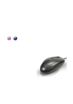 Conceptronic Easy Mouse