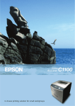 Epson Aculaser C1100dn