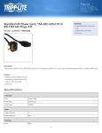 Tripp Lite Standard UK Power Cord, 15A (IEC-320-C19 to BS-1363 UK Plug), 8-ft.