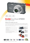 Kodak EasyShare V1003 Silver Essence