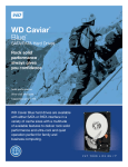 Western Digital Caviar Blue 250GB