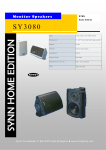 Limit SY3080ZT Synn speaker black