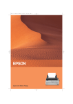 Epson LX-300+