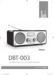 Roth DBT-003