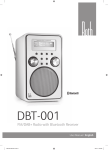 Roth DBT001