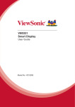 Viewsonic VSD221
