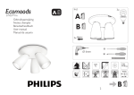 Philips Ecomoods Spot light 57933/31/16