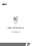 AVerMedia SF2012H-C surveillance camera