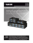 Black Box 2ch VGA