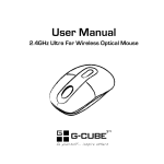 G-Cube G4E-10S mice