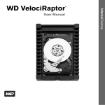 Western Digital VelociRaptor 450GB 20pk