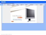 Philips 190B8CB 19" SXGA LCD monitor