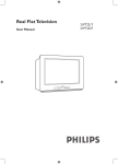 Philips 21PT2217B 21" real flat TV