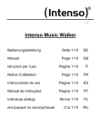 Intenso 4GB Musik Walker