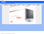 Philips 190S6FB 19" SXGA LCD monitor