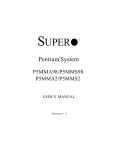 Pentium System