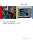 How to Guide Audio Loudness Monitoring