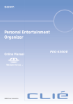 Personal Entertainment Organizer